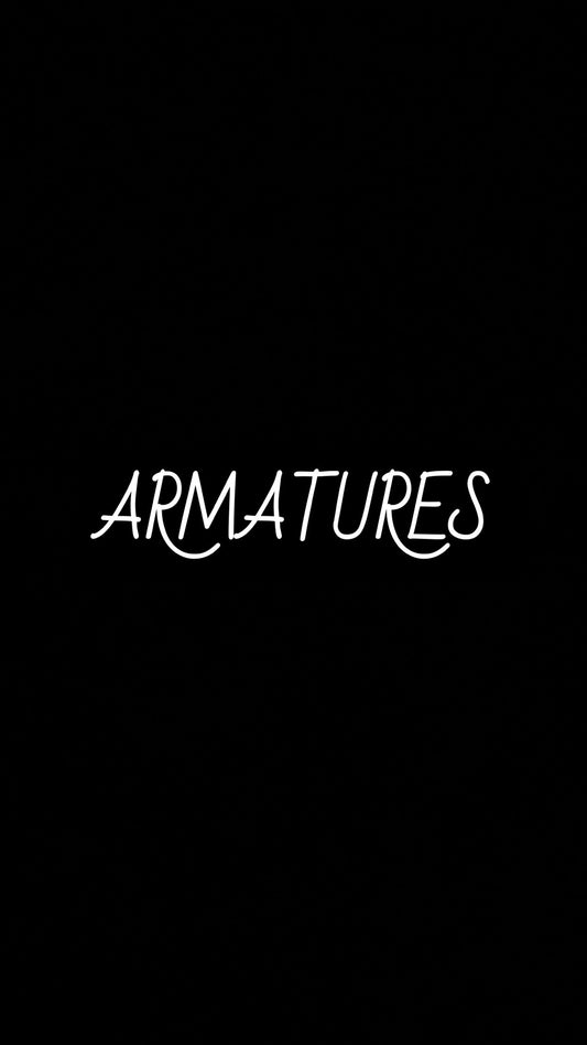 Armature Add On (Select Kits)