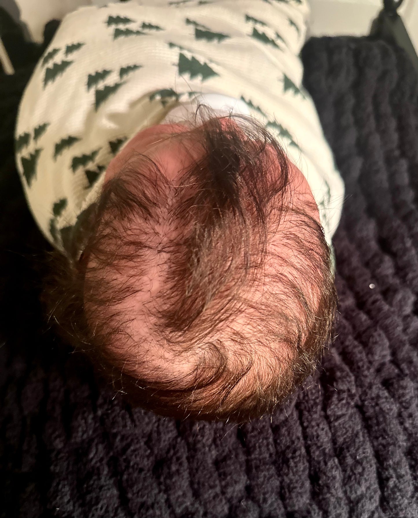 Hair Rooting Services
